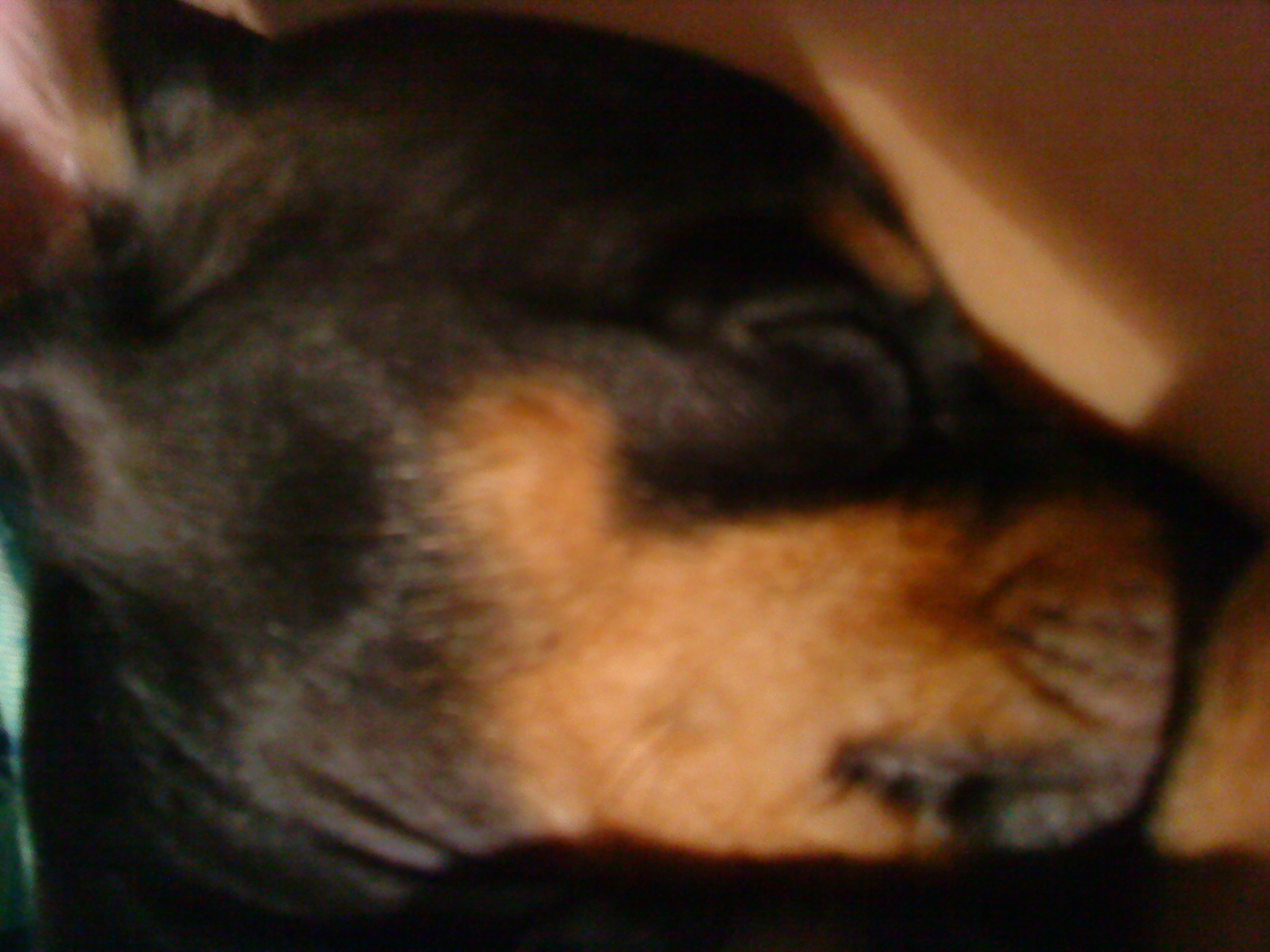 DSC01190.JPG