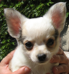 34006_yBOSMDt0M0.jpg