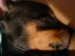 DSC01190.JPG