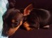 DSC01196.JPG
