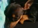 DSC01198.JPG